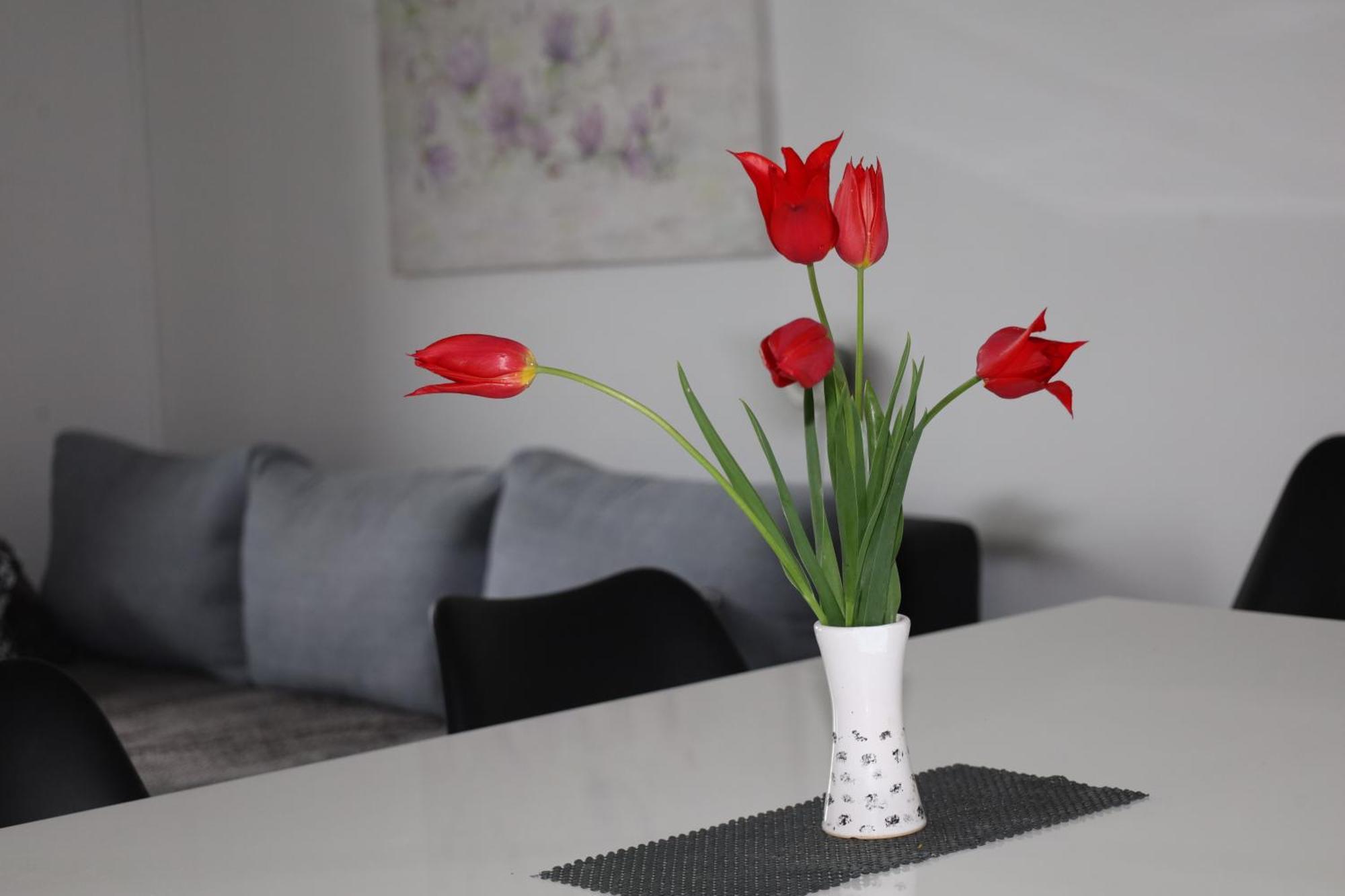 Apartma Javorscek Bovec Zewnętrze zdjęcie